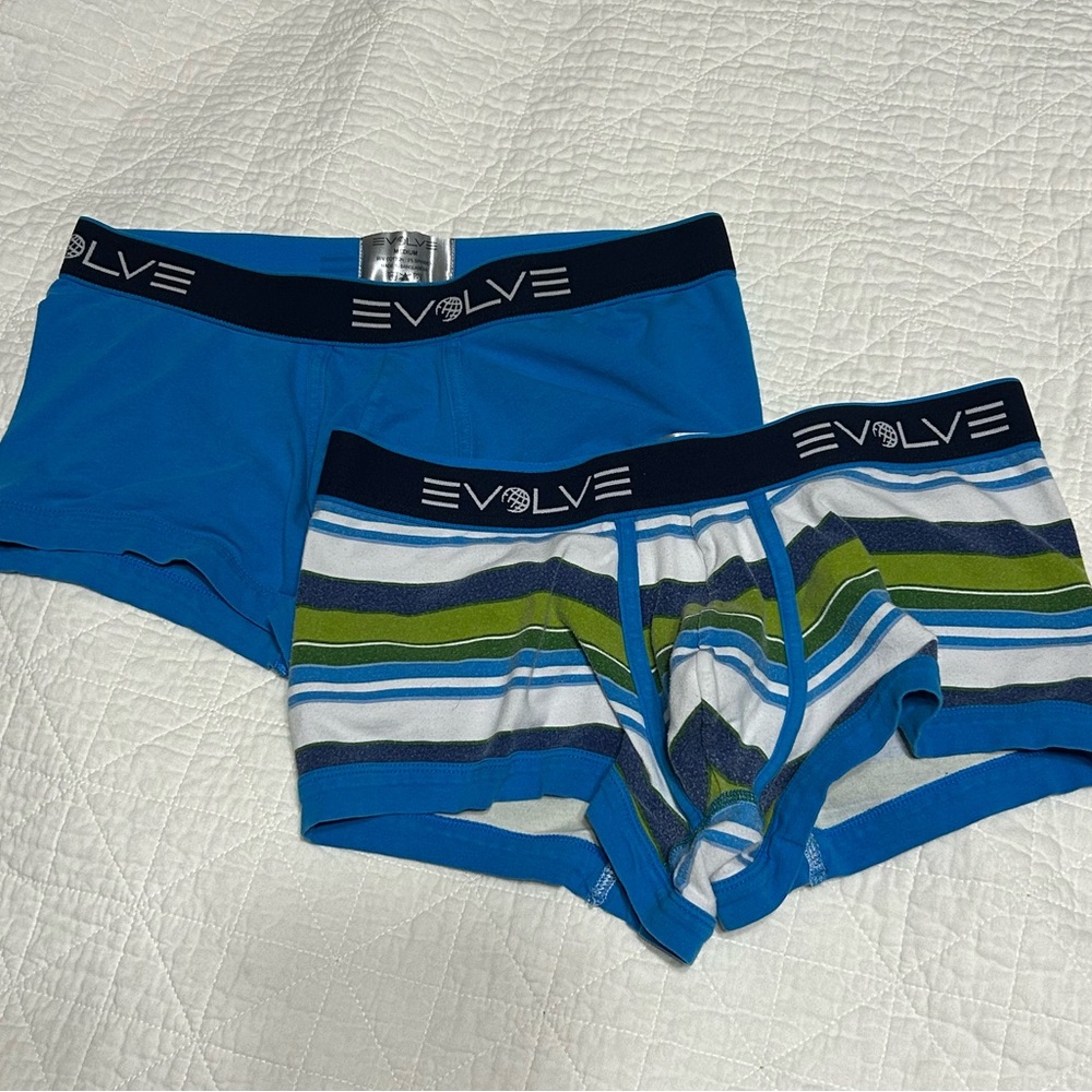 REVOLVE Boxer Briefs in Blue and Green with Striped Pattern